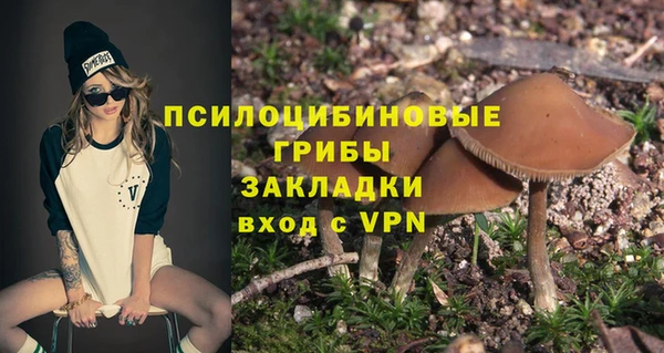 сатива Балабаново